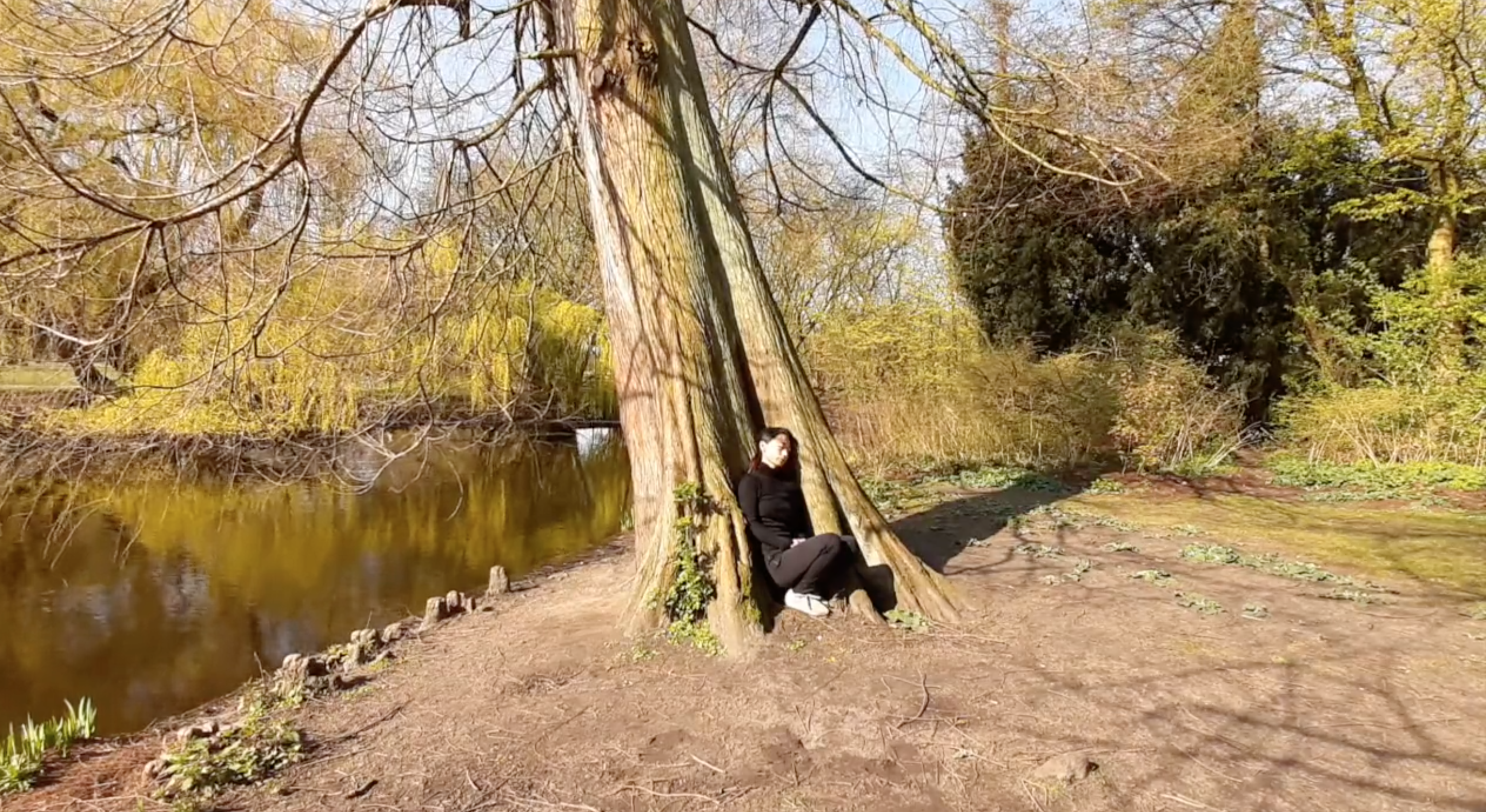 Screen Shot 2020-04-04 at 00.36.38